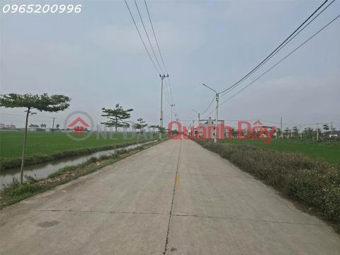 Prime land for sale, located on the main road in Khanh Hoi commune, Yen Khanh district, Ninh Binh province, ideal for investment. _0