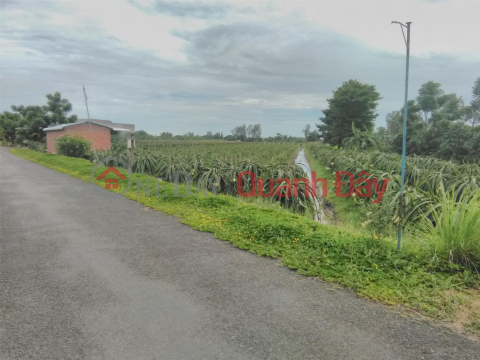 OWNERS NEED TO SELL URGENT Lot Beautiful Location In Phong Dien, City. Can Tho _0