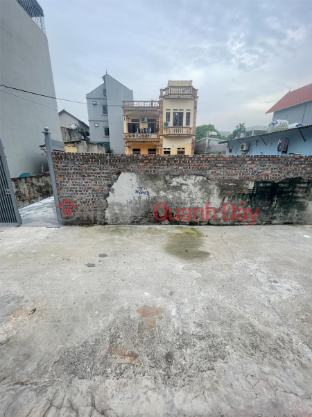 Land for sale in Bau village, Kim Chung commune, 7-seat car road, cheap price Sales Listings