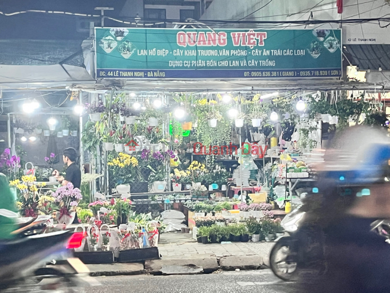 Quang Viet’s bonsai - 44 Le Thanh Nghi (Cây Cảnh Quang Việt - 44 Lê Thanh Nghị),Hai Chau | (2)