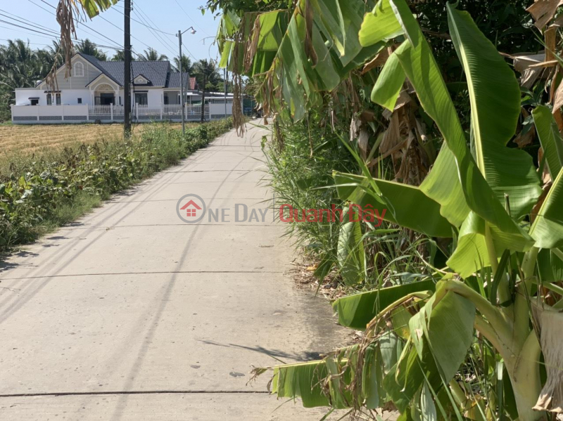 BEAUTIFUL LAND - GOOD PRICE - OWNERS Need to Sell Quickly Lot of Land with Beautiful Location in Long Phu, Soc Trang, Vietnam, Sales, ₫ 3.73 Billion