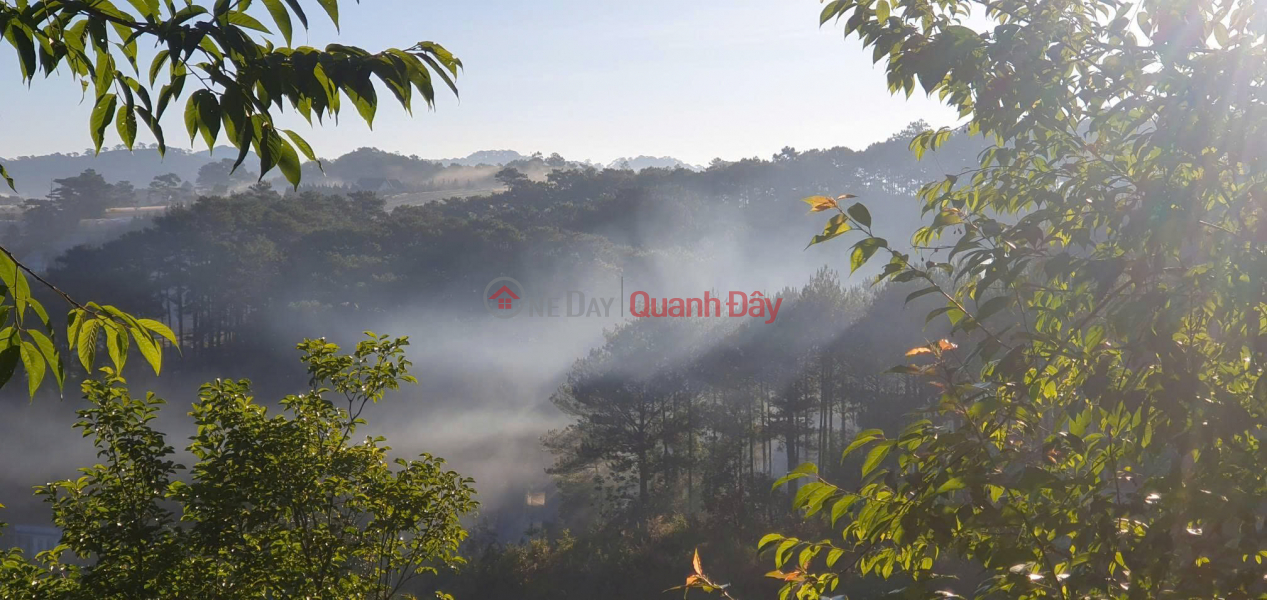 Property Search Vietnam | OneDay | Office / Commercial Property Rental Listings AGRICULTURAL LAND FOR LEASE WITH PINE FOREST VIEW – CAM LY WARD (WARD 5),DA LAT