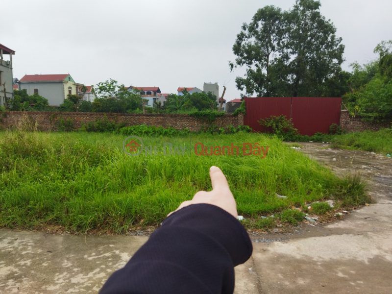 Property Search Vietnam | OneDay | Nhà ở | Niêm yết bán Cần bán lô đất 86,3m2, x5 Xóm đông, Khê nữ-Nguyên khê-Đông anh-Hà nội