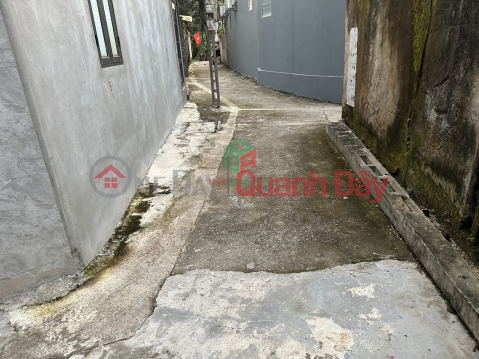 Selling corner lot 56.6m2 of land Co Loa, Dong Anh - 2x million\/m2 _0