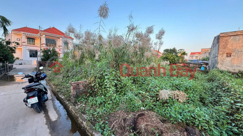 Gửi kho lô 50m Thư Dương - Thư Phú - Thường Tín - Ô tô đỗ cửa - Giá đầu tư nhỉnh 2 tỷ _0