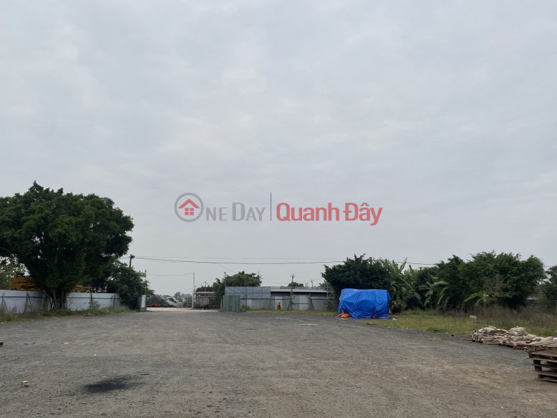 Property Search Vietnam | OneDay | | Rental Listings, Land for rent in Thanh Tri Hanoi - Land for rent for warehouse construction