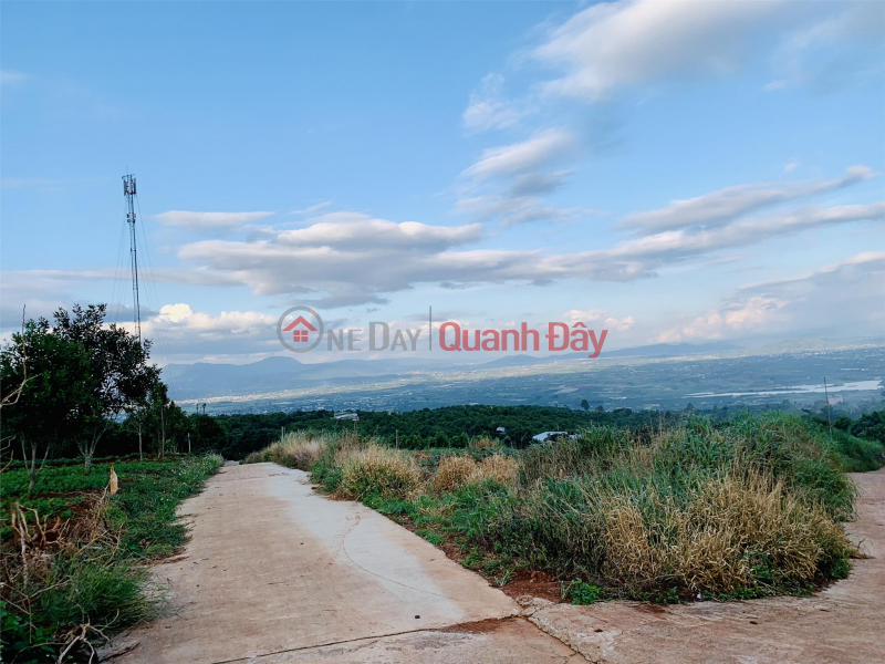 PRIME LAND - GOOD PRICE - BEAUTIFUL VEIW LAND - For Quick Sale In Tan Ha Commune, Lam Ha District, Lam Dong Province | Vietnam, Sales | đ 6.91 Billion