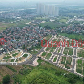 Land for sale at auction on Le Xa Mai Lam Dong Anh corner lot near Vinhomes Co Loa _0