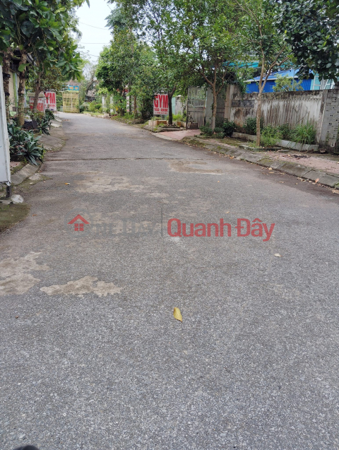 LAND FOR SALE, AREA 119M2, FRONTAGE 5M, CAR ACCESS, GROUP 6, HOANG DIEU WARD, THAI BINH CITY _0