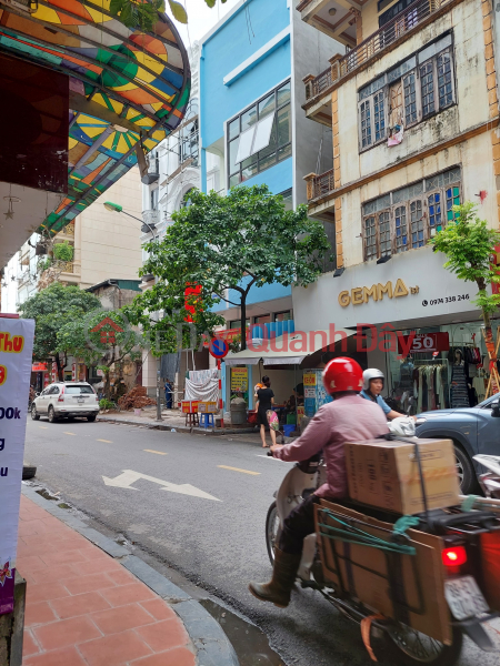 CẦN TIỀN ! BÁN NHÀ BIÊT THỰ HAPULICO NGUYỄN HUY TƯỞNG, THANH XUÂN KHU VÍP NHÀ Ở CÁN BỘ VĂN PHÒNG CHÍNH PHỦ, Việt Nam | Bán đ 48 tỷ