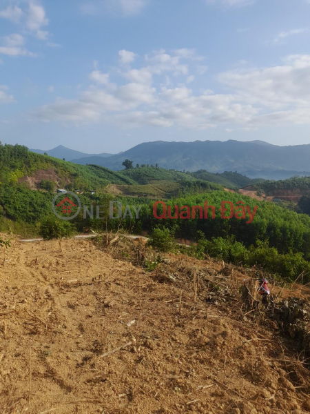 BEAUTIFUL LAND - GOOD PRICE - Land Lot For Sale Prime Location In Son Thai Commune, Khanh Vinh District, Khanh Hoa Sales Listings