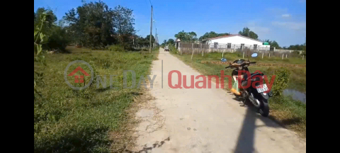 OWNER selling land - Good price - Beautiful plot of land for sale in My Quy Tay commune, Duc Hue district, Long An province. _0