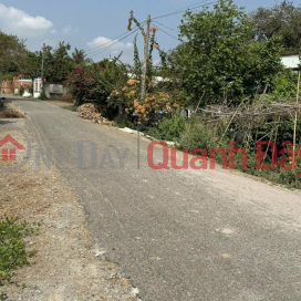 Owner needs to sell land at a cheap price near Nguyen Thi Lang Street, Tan Phu Trung Commune, Cu Chi District, Ho Chi Minh City. _0