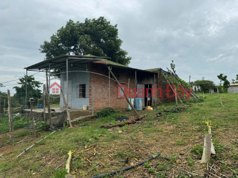 BEAUTIFUL LAND FOR SALE 1HA4 FLAT LAND IN EAPO, CU JUT, DAK NONG - CAR ON THE LAND _0