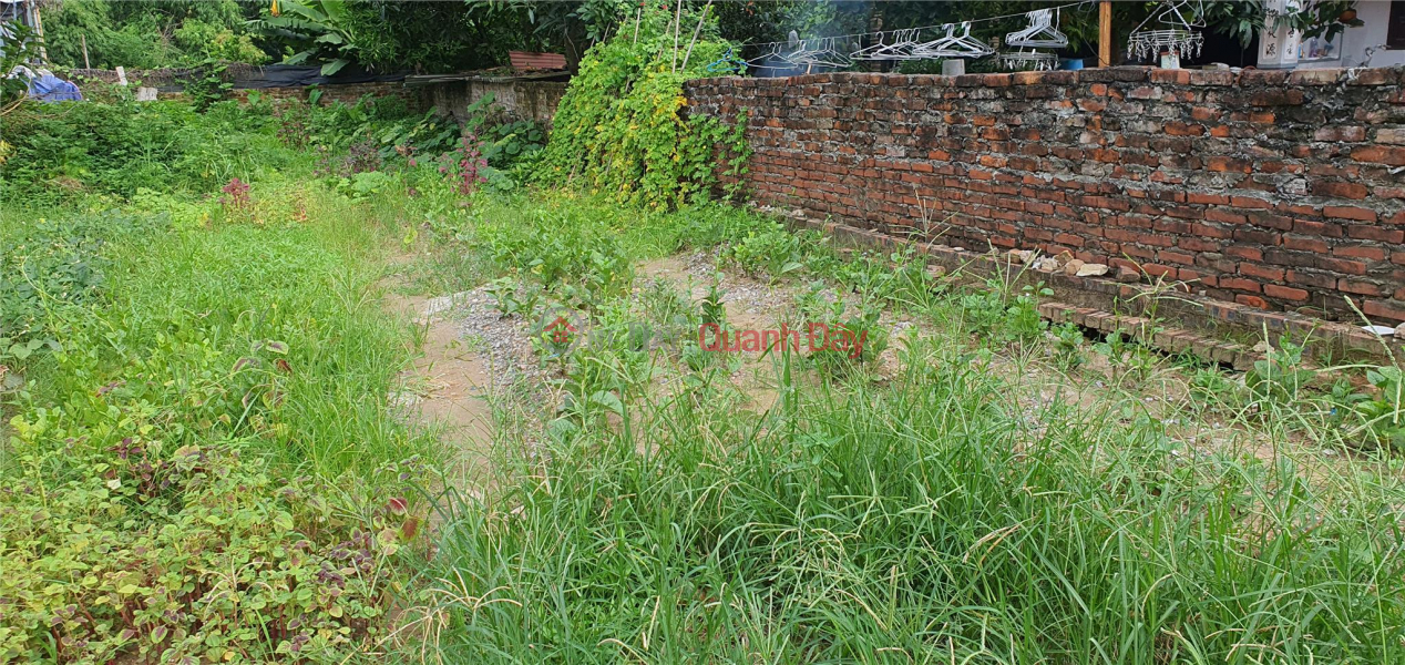 Beautiful land in Dong Anh near Vo Nguyen Giap street 100m2 Sales Listings