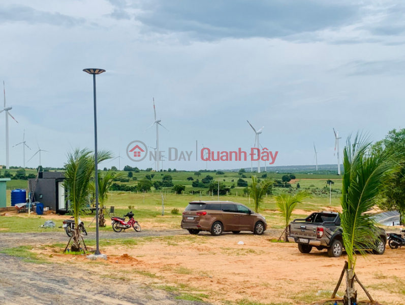 Property Search Vietnam | OneDay | Sales Listings, 3 acres of garden land close to the sea costs only 300 million/sao