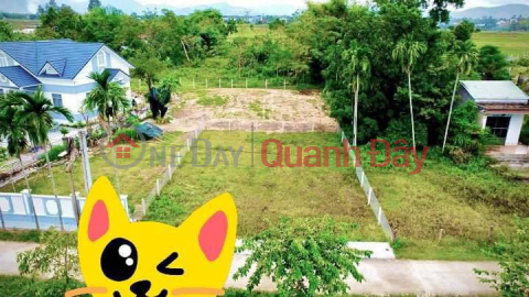Main plot of land in Dien Tien commune for sale near Le Trach market _0