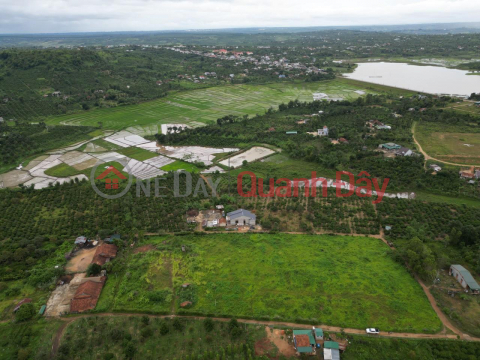 Own a Beautiful Land Lot, Prime Location In Krong Nang District, Dak Lak _0