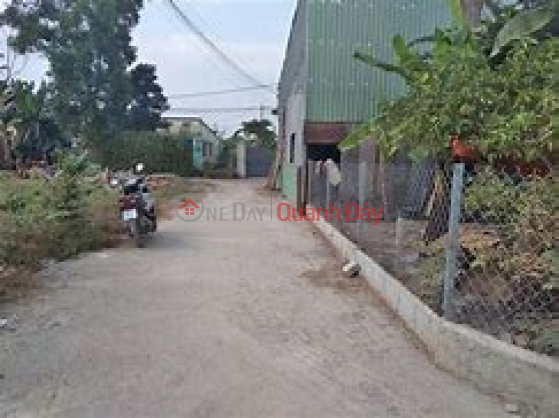 Land for sale in front of Ba Diem 9 street, Nam Lan hamlet, Ba Diem Commune, Hoc Mon District, HCM Sales Listings
