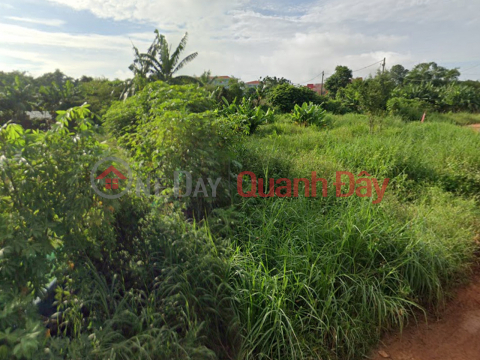 Đất Mặt tiền SHR HXH 1194m2 – Đông Thạnh 2-5 Hóc Môn _0