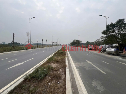 Bán đất tái định cư Lương Nỗ, Tiên Dương - Mặt đường 40m - Đường Thiết Bị Điện kéo dài _0