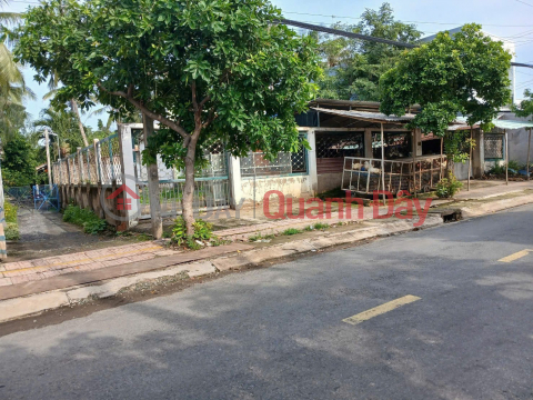 PROFITABLE INVESTMENT – OWNER NEEDS TO SELL 3 PLOTS OF LAND in Phuoc Van Commune, Can Duoc District, Long An Province _0