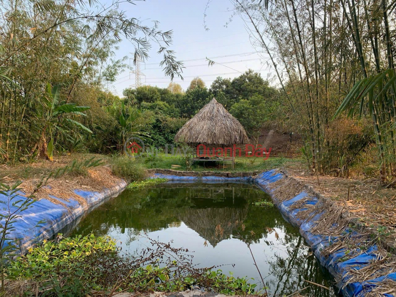 Property Search Vietnam | OneDay | Residential Sales Listings | OWNER URGENTLY NEEDS TO SELL A Plot Of Garden Land In Xuan Que Commune, Cam My District, Dong Nai Province