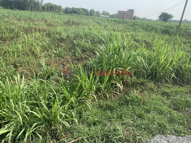 GENERAL FOR SALE QUICKLY Land Lot Great Location In Duong Minh Chau District, Tay Ninh Sales Listings