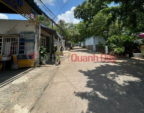 Giảm 2.5tỷ! Đất SHR HXT né 979m2, Nở hậu – Đặng Đức Thuật TP.Biên Hoà SS _0