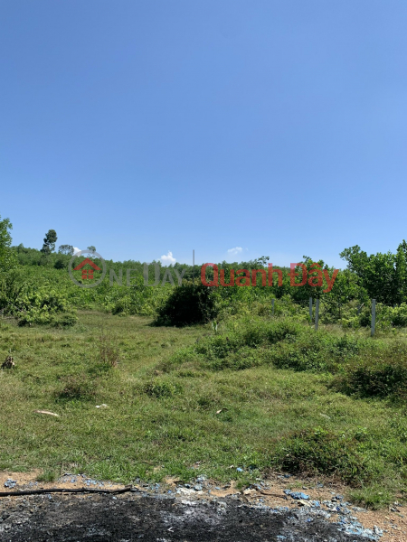 Urgent sale of 6,200M2 Tunnel Collapsed RSX, CLN Land in Hoa Vang District - Da Nang for 3.60 Billion Negotiable by Owner., Vietnam Sales | đ 3.6 Billion