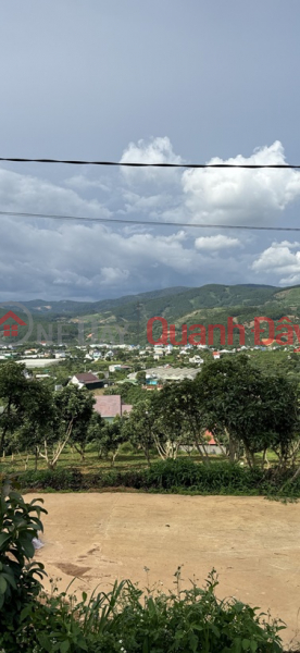 Property Search Vietnam | OneDay | Residential Sales Listings BEAUTIFUL LAND - GOOD PRICE - OWNERS NEED TO SELL LAND LOT QUICKLY IN Me Linh, Lam Ha, Lam Dong