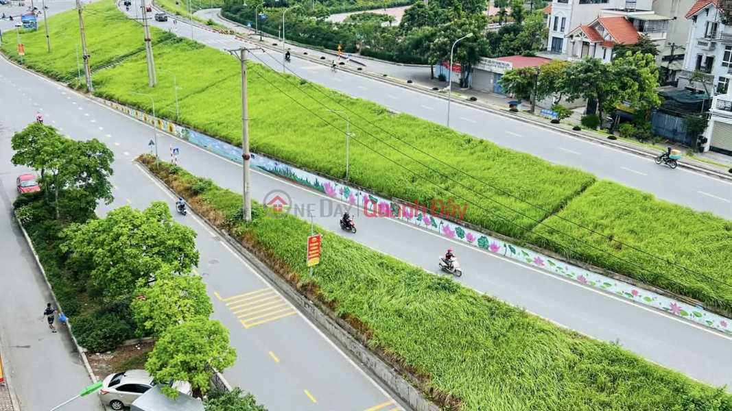 nhà mặt phố Lâm Du, 240m, mặt tiền 6m, nở hậu, cách cầu Trần Hưng Đạo 200m Việt Nam, Bán, đ 56 tỷ