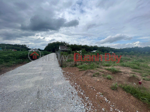 BEAUTIFUL LAND - GOOD PRICE - Owner Needs to Sell Land Lot in MINH THANG, TON THANH, BINH PHUOC _0