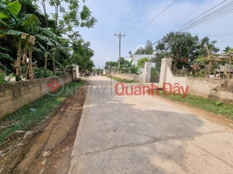 Plot for sale by the owner - Super potential in Ha Trung - Thanh Hoa _0