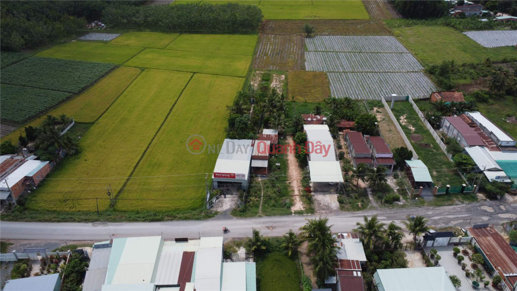 đ 2.7 Billion | Stunningly beautiful! Land in front of business with fruit garden in Tay Ninh
