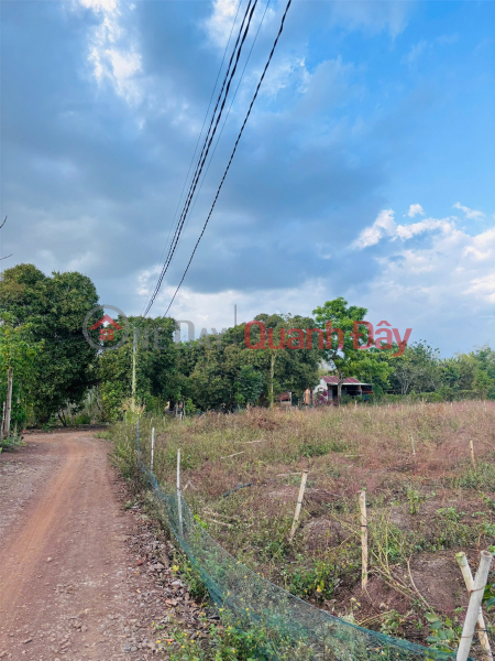 PRIME LAND – GREAT PRICE, URGENT SALE BY OWNER in Lang Minh Commune, Xuan Loc District, Dong Nai Province, Vietnam Sales | đ 1.8 Billion