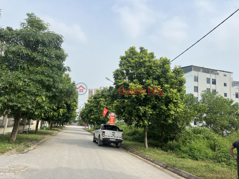 Property Search Vietnam | OneDay | Residential, Sales Listings | 400M NORTH PHU CAT Residential Area FOR SALE