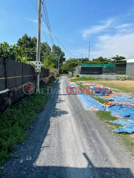 Owner Needs To Quickly Sell Nice Plot Of Land In Binh Minh Commune, Trang Bom, Dong Nai Sales Listings