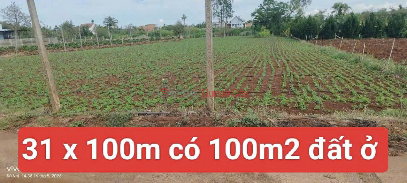 đ 4 Billion | 3120m2 of land for sale in Tan Hoi commune, Duc Trong district, Lam Dong province, price 4 billion VND.