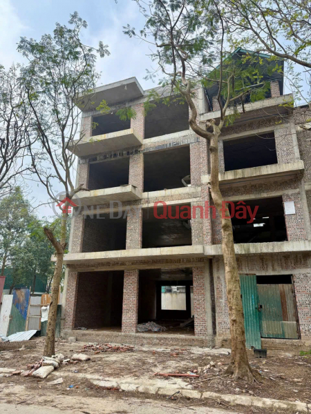 Semi-detached villas for sale in Ha Phong Urban Area, Tien Phong, Me Linh, under 12.4 billion VND. 240m2 Sales Listings