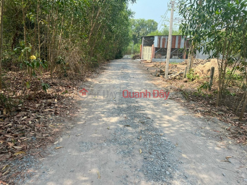 BEAUTIFUL LAND - GOOD PRICE - QUICK SELL LAND Plot in Go Dau District, Tay Ninh Province Vietnam | Sales đ 650 Million