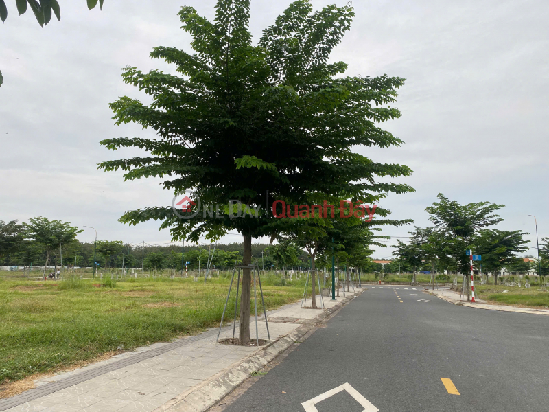 Land for sale in Richland Residence project - Hoa Loi, Ben Cat, Binh Duong Sales Listings