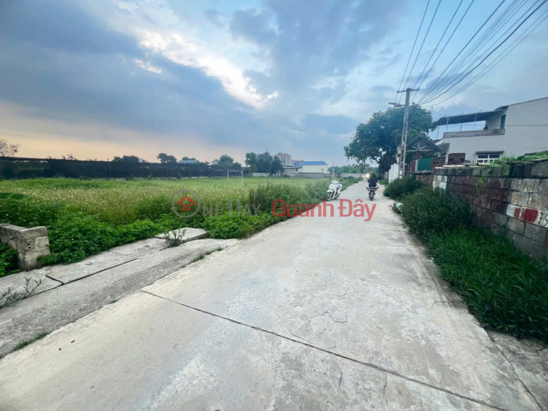Super product for split plot or resort - Road in front of land for 2 cars to pass each other Sales Listings