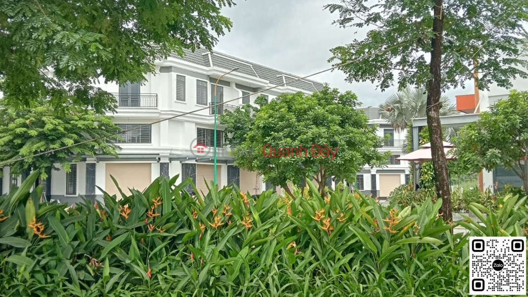 Land for Sale in Hoa Loi Ward, Ben Cat City, Binh Duong Province, Cheap Price, Suitable for Investment or Business | Vietnam, Sales | đ 1.84 Billion