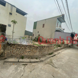 Hà Nội - Bán đất Tiên Hùng - Nguyên Khê - Đông Anh 60m 4,2 tỷ _0