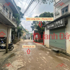 OWNER NEEDS TO SELL 60M LAND LOT ON BUSINESS ARRAY IN PHUNG CHAU-CHUONG MY-HANOI _0