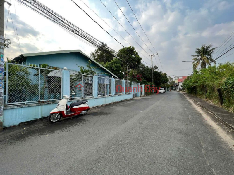 Villa land for sale on Dang Dai Do street, Hiep Hoa, good price for investment Sales Listings