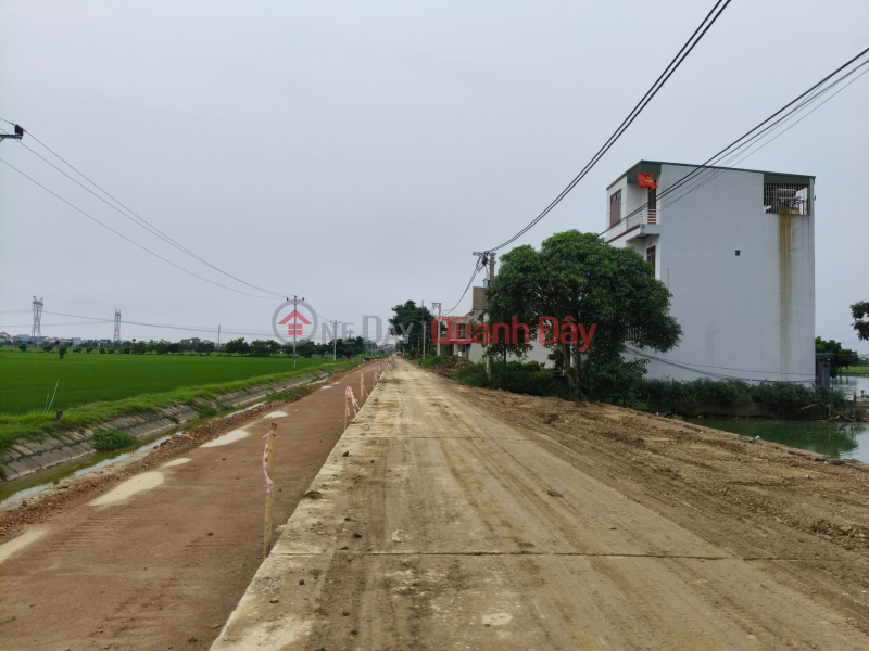 Property Search Vietnam | OneDay | Residential | Sales Listings Residential land in Hoang Dong, Hoang Long, area 78m2, 4.5 billion VND, Phu Xuyen, Hanoi