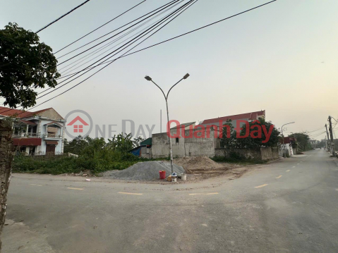 Owner Needs to Sell Corner Lot in Nhat Tri Residential Group, Tien Noi Ward, Duy Tien, Ha Nam _0