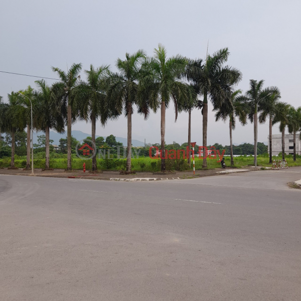 20 thousand meters price is only 4 million\\/m2 of land in Hoa Son-Hoa Binh industrial park Vietnam, Sales, đ 80 Billion